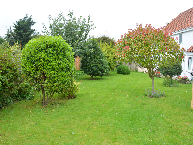 Back Garden